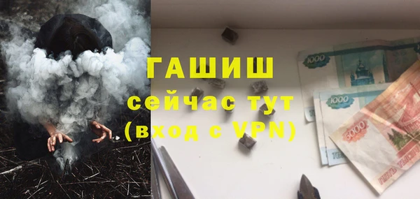 индика Аркадак