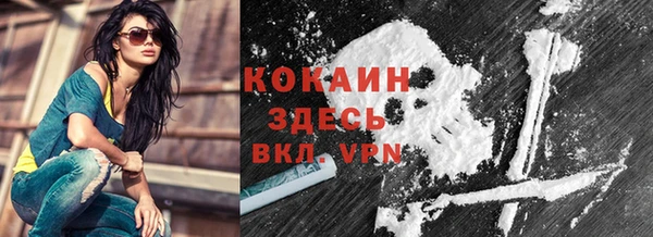 индика Аркадак