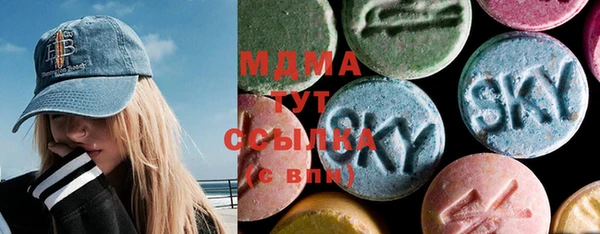 индика Аркадак