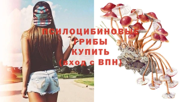 MESCALINE Армянск