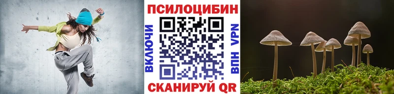 Псилоцибиновые грибы Psilocybe Мелеуз